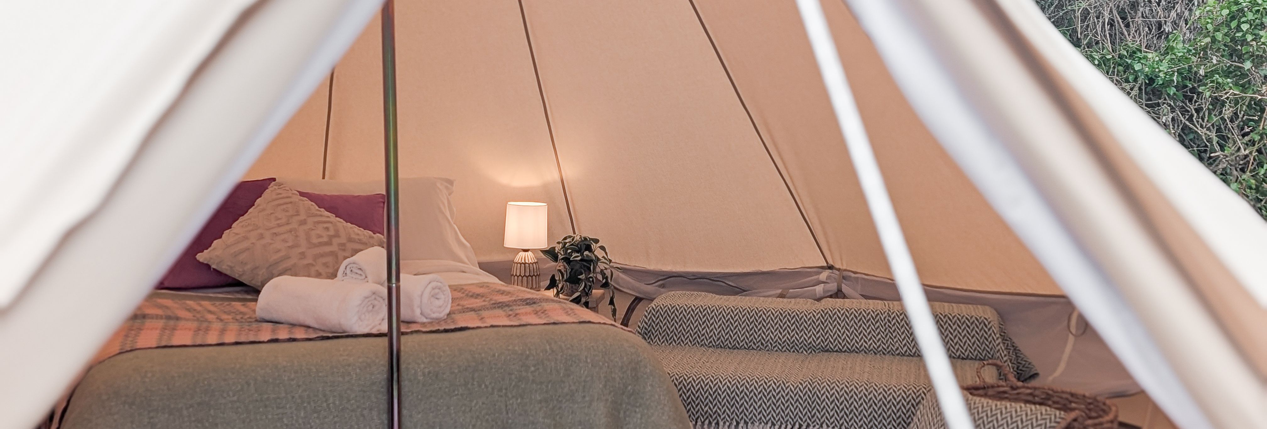 PXL_20250705_151000617.PORTRAIT