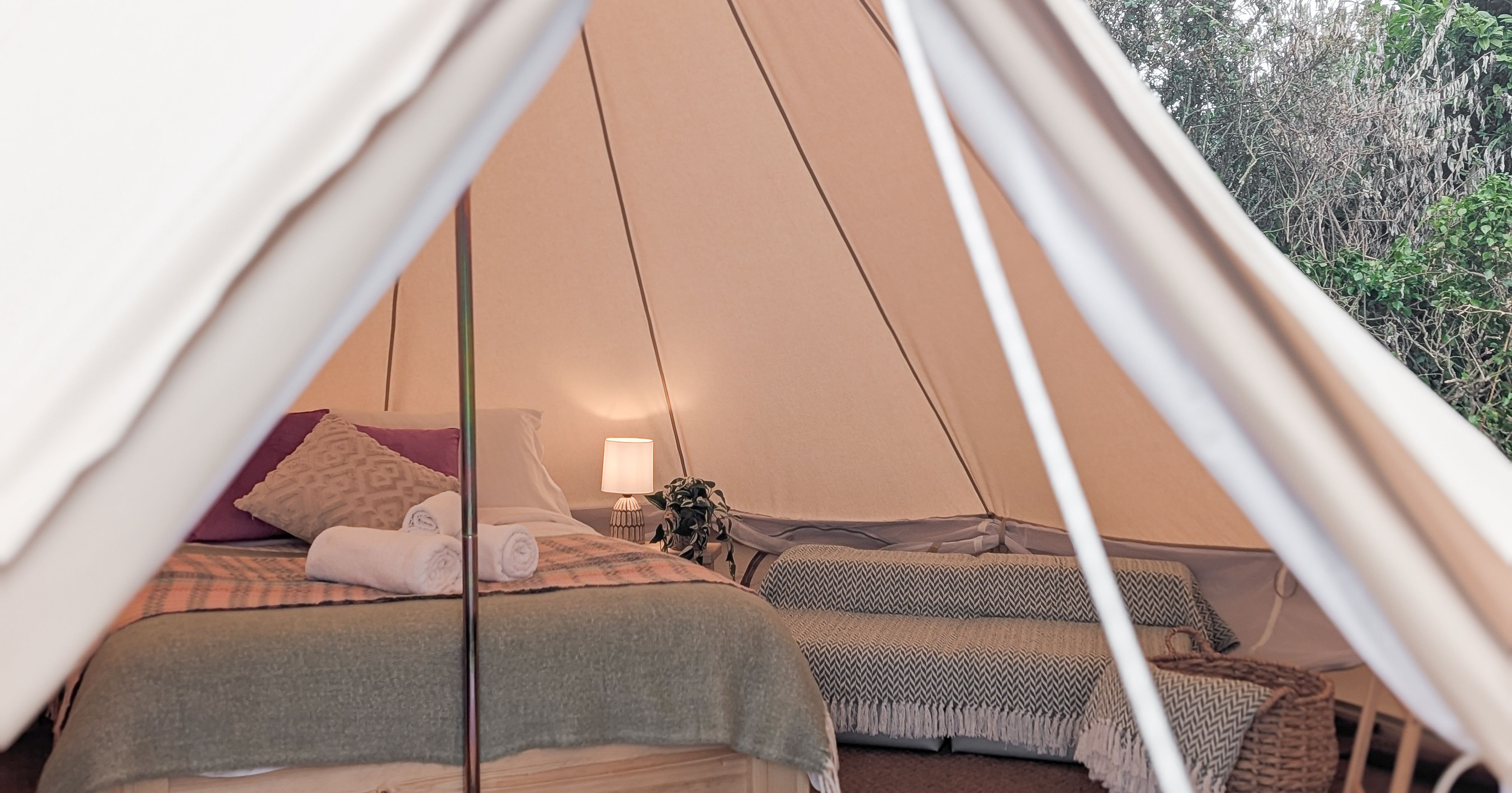 PXL_20250705_151000617.PORTRAIT