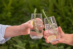 Two people clinking glasses of a clear drink with ice, lemon slices, and sprigs of rosemary