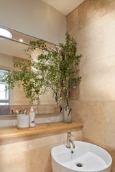 Modern bathroom with ceramic sink, large mirror, and vase of green branches on wooden shelf.