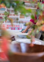 Person setting a table with plates, partially visible behind plants