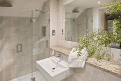 Modern bathroom with glass shower, sink, mirror, and a countertop with greenery