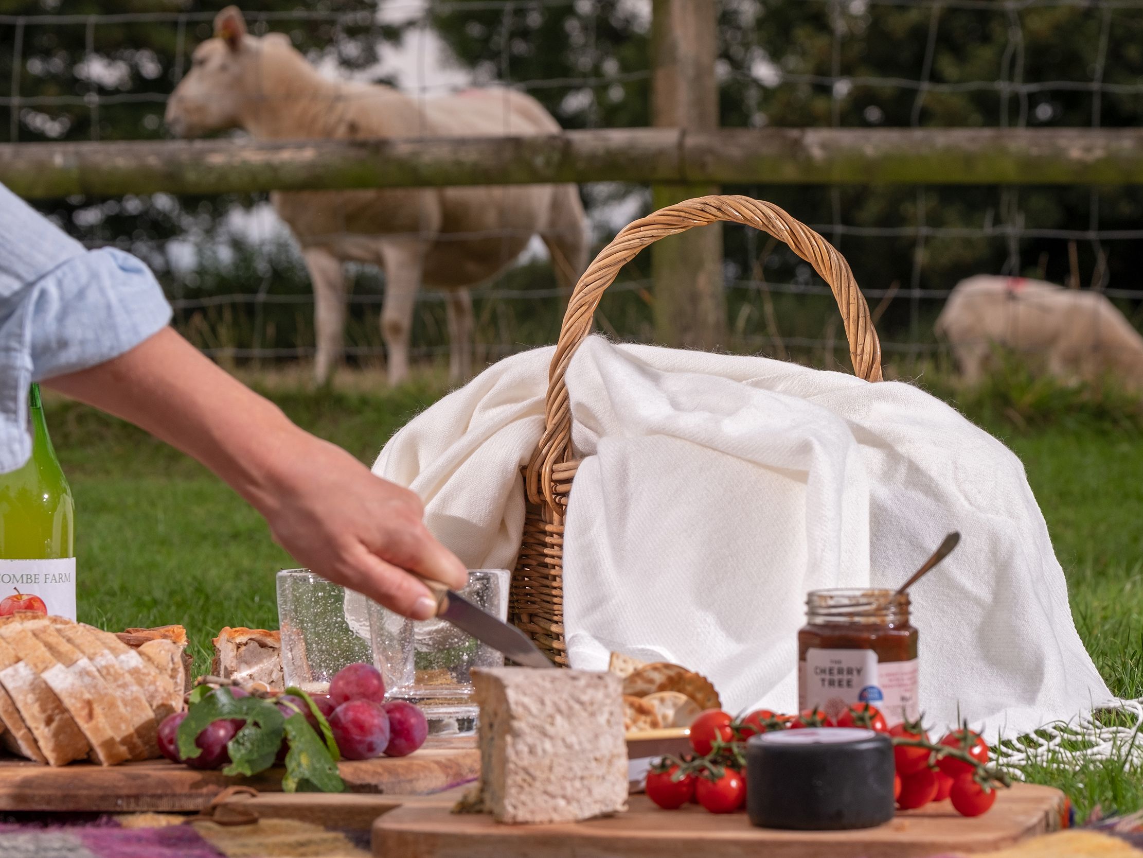 A picnic setup on grass with bread, cheese, grapes, tomatoes, a jar of preserve, and a drink, with sheep and a fence in the background.