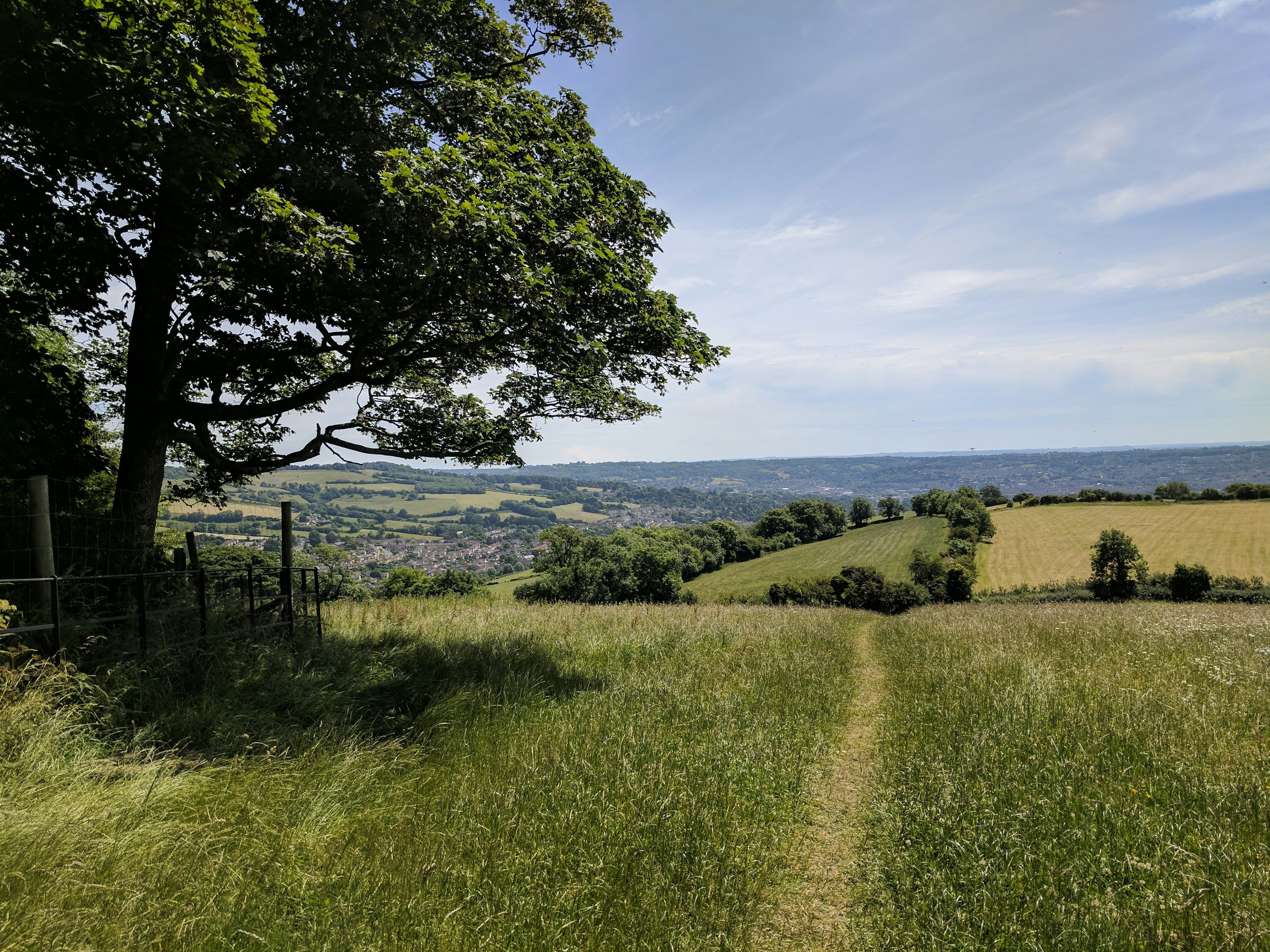 Scenic countryside with a grassy pathway, fields, and a large tree providing shade on the left.