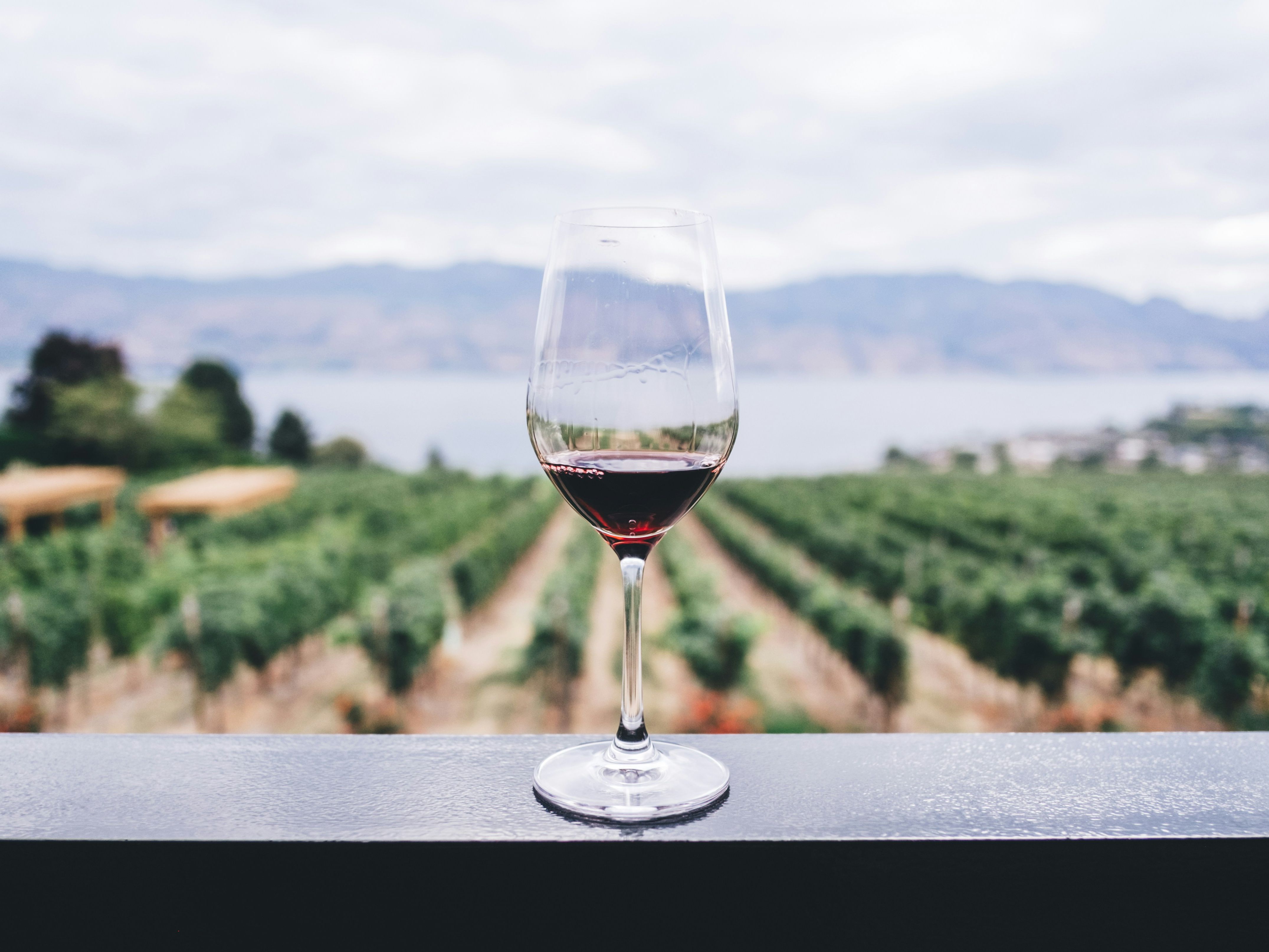 Glass of red wine on a ledge overlooking a vineyard with mountains and water in the background