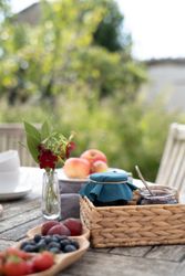 Outdoor table set with fruits, a jar of jam, apples, and a small vase with flowers