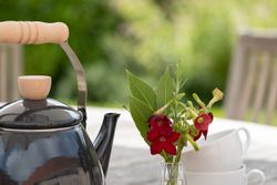 Black teapot with wooden handle, red flowers in a small vase, and stacked white teacups on an outdoor table
