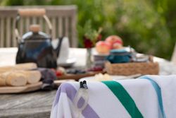 Close-up of a striped towel with a swim nose clip, with a blurred outdoor breakfast setup in the background.