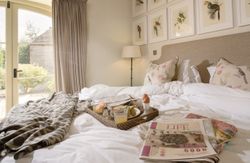 Cozy bedroom with breakfast tray on bed, decorative pillows, and framed bird art on the wall.
