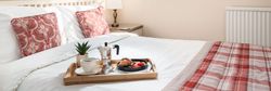 Magnolia_web-10