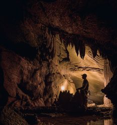 Beer Caves