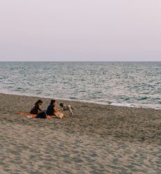 Beach picnic