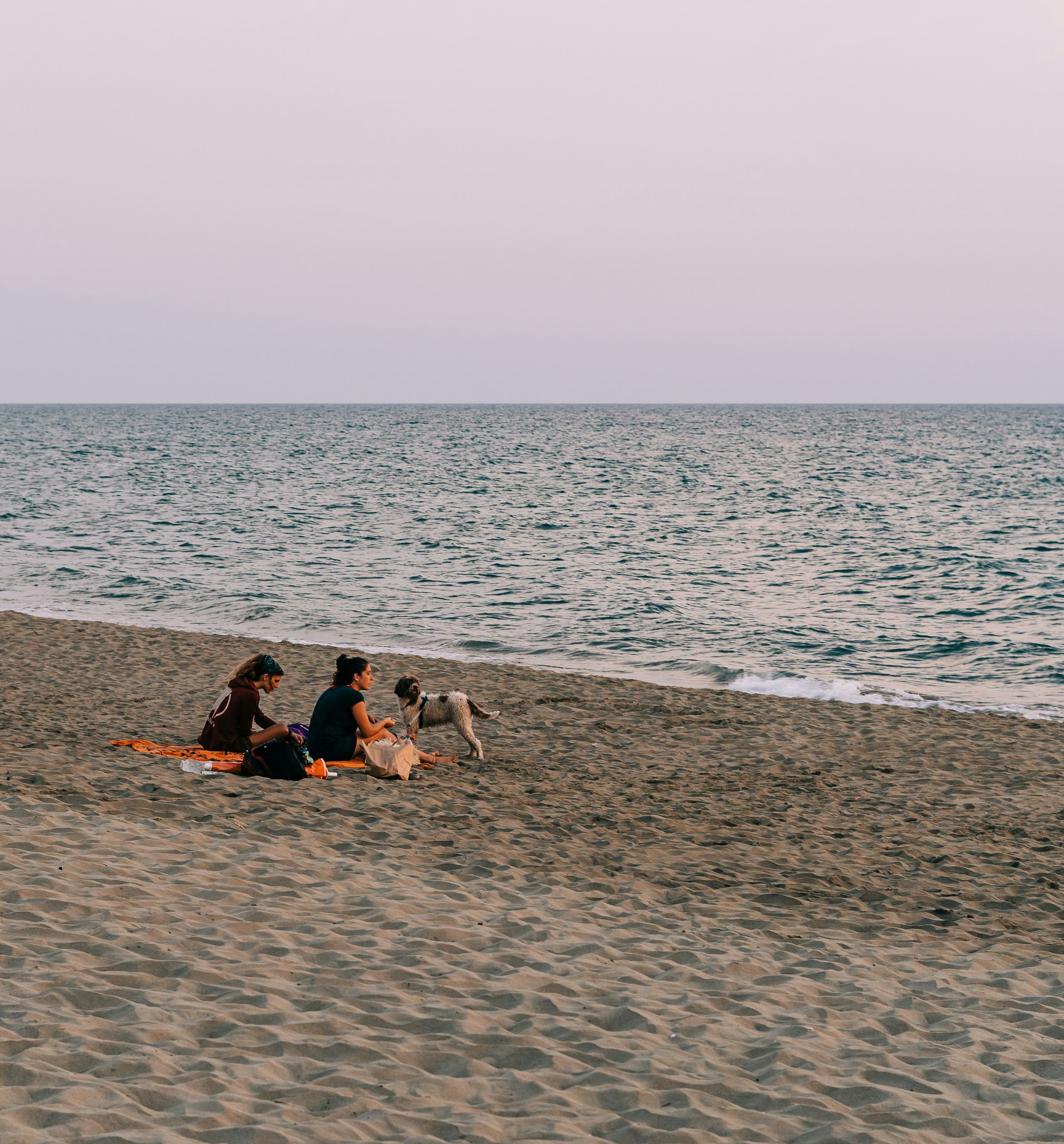 Beach picnic