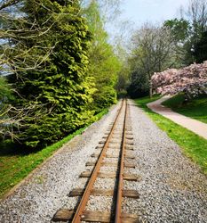 Bicton Park Railway