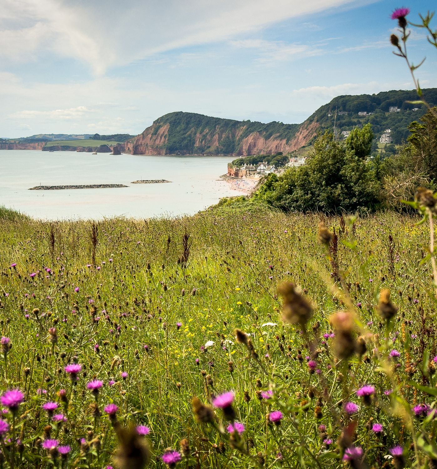 Sidmouth - Salcombe Hill Circular Walk