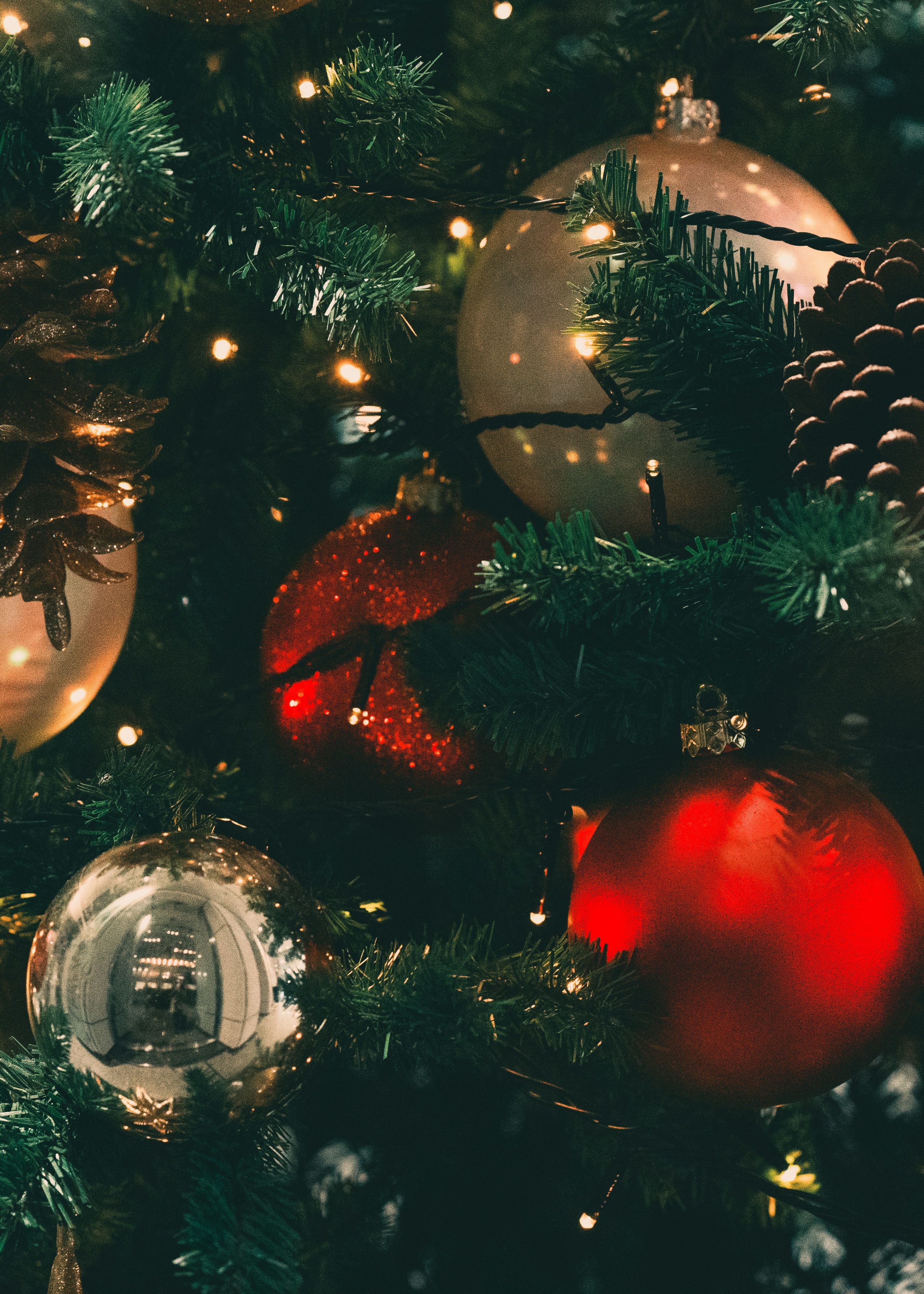 ayumi-kubo-RI-R0ntwJ4w-unsplash