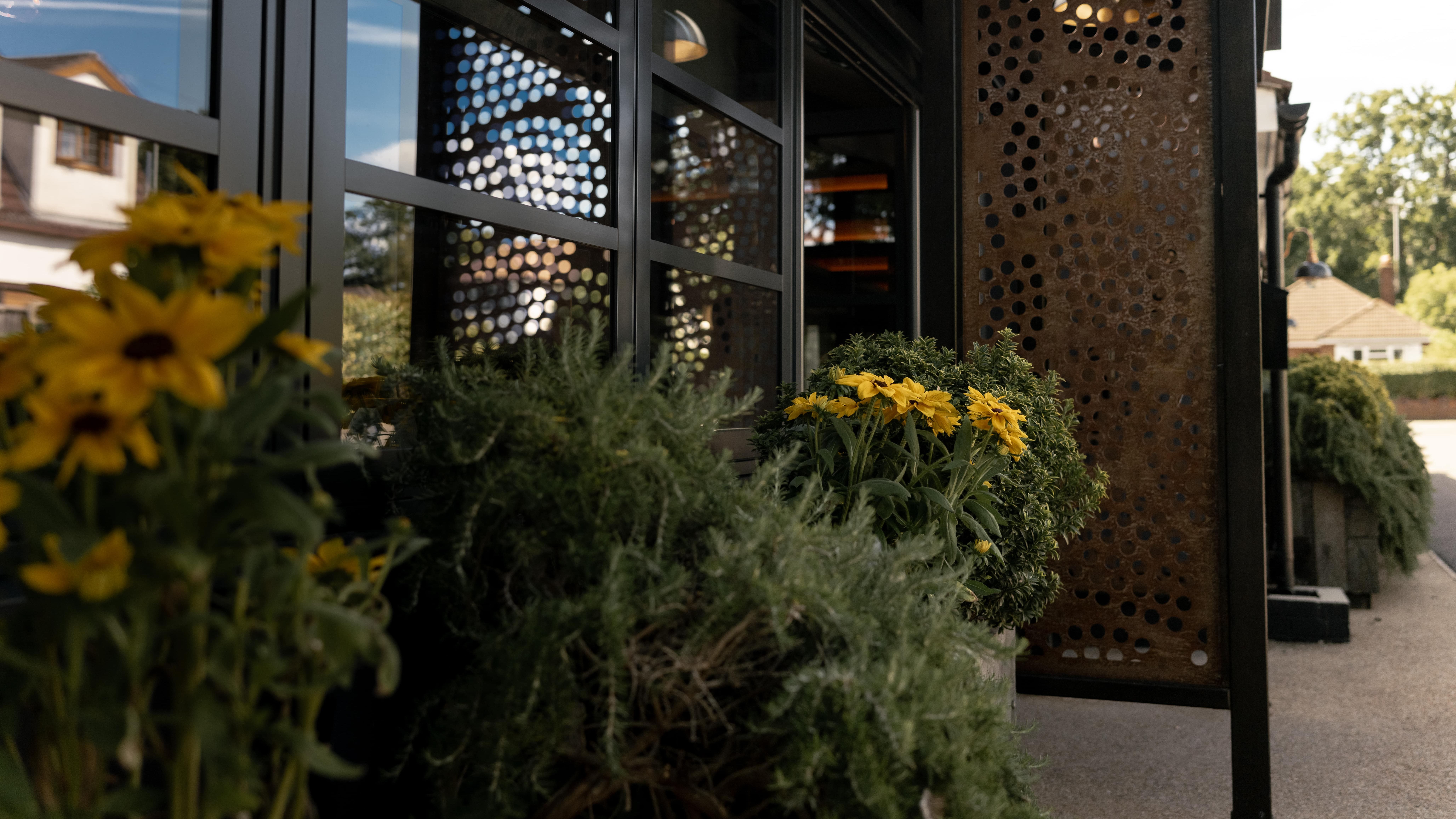 Exterior of a modern building with metal grate panels, large windows, and planters with yellow flowers.