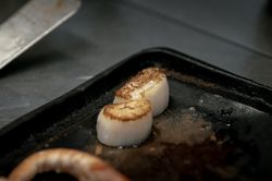 Close-up of two seared scallops on a dark cooking tray