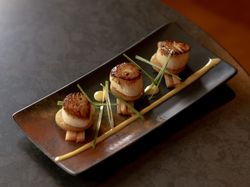 Elegant plate of seared scallops garnished with greens and sauce on a black rectangular dish