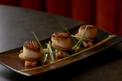 Elegant plated dish of seared scallops garnished with green herbs and creamy sauce