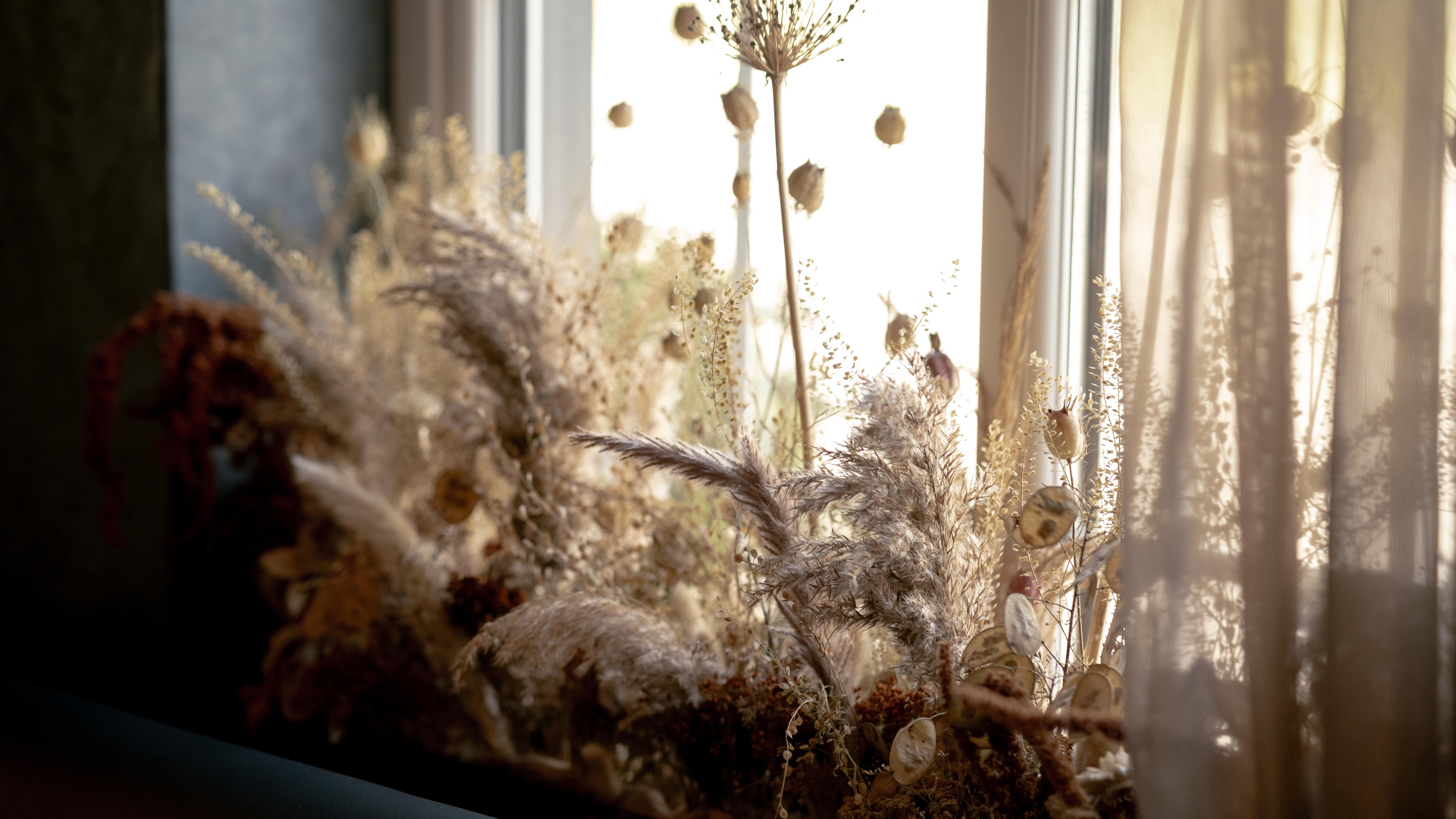 Dried floral arrangement on a windowsill