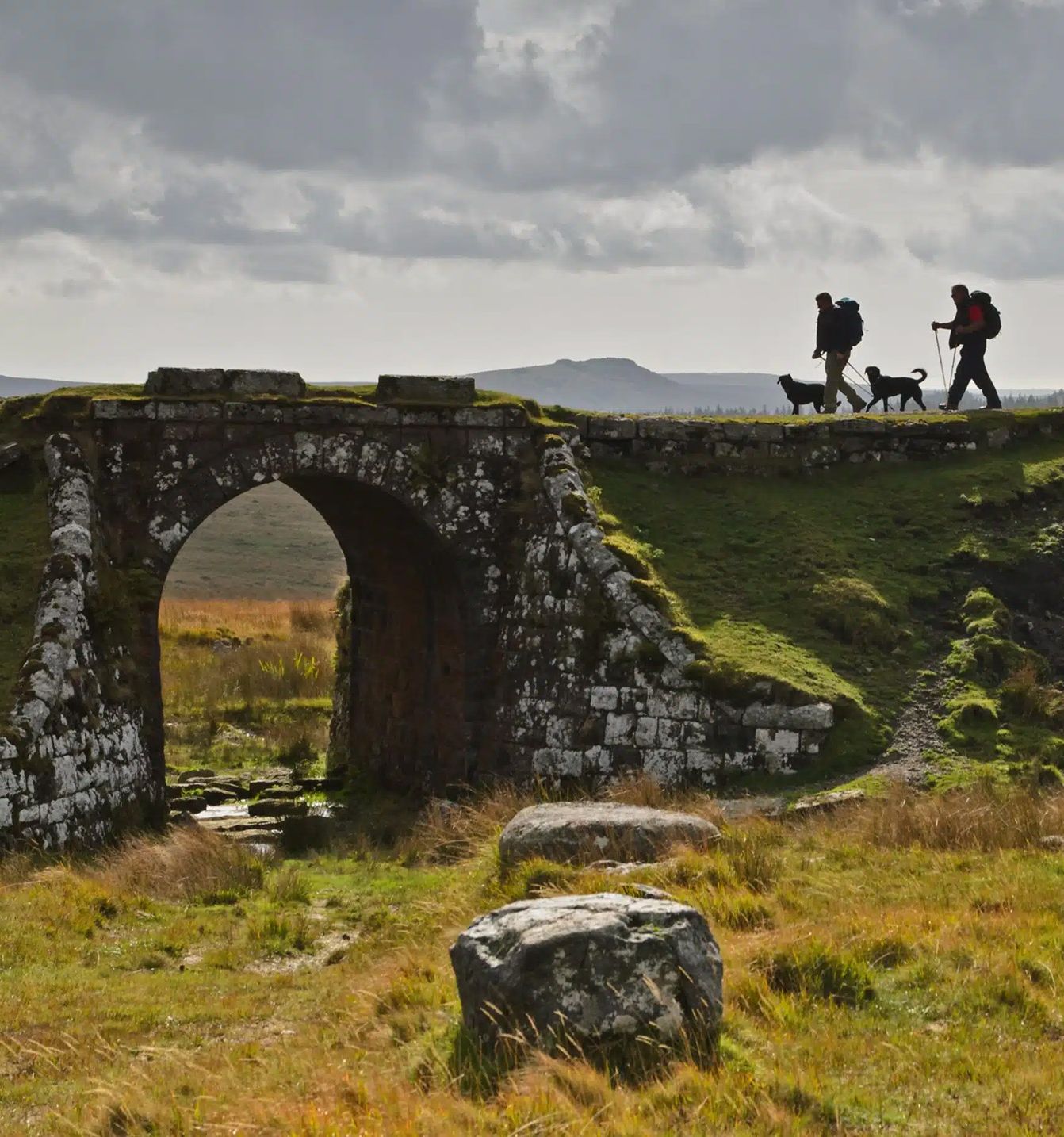 dog walkers over disused railway bridge