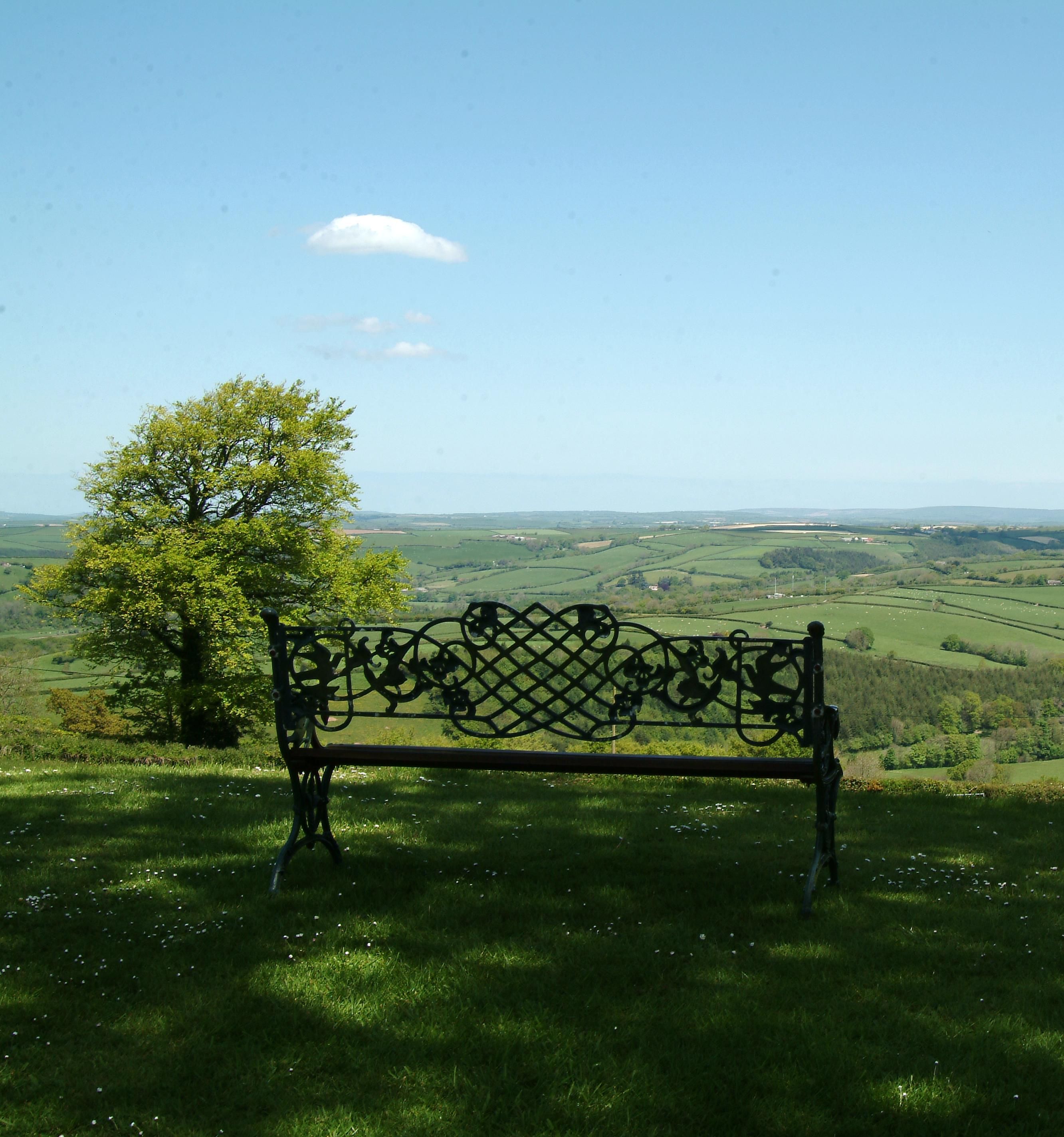 stunning summer view from bench of rolling devon countryside