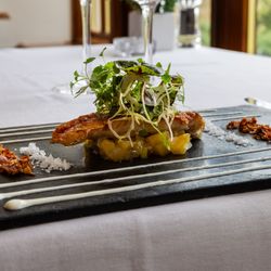 pork on a bed of apple sauce