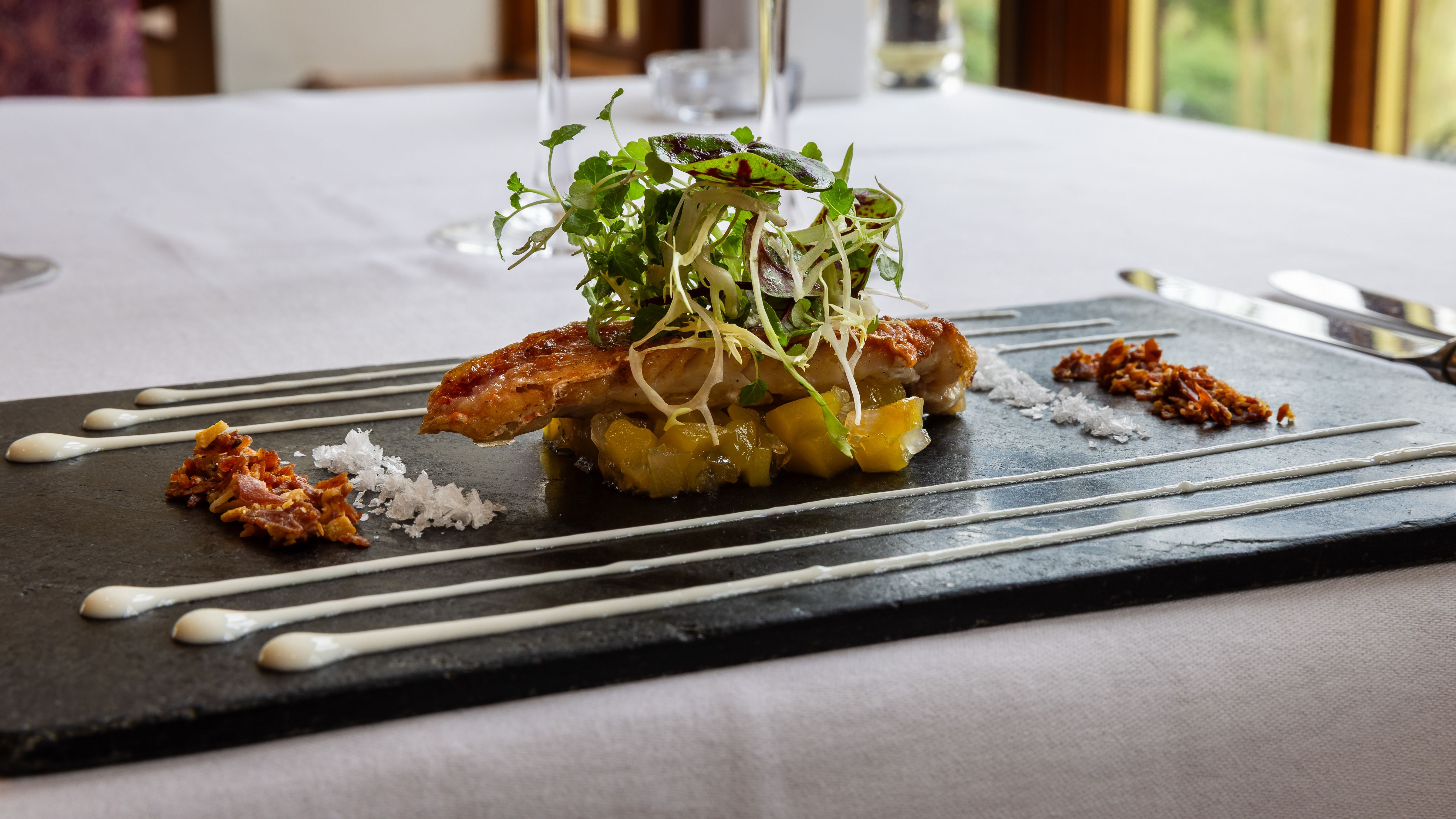 pork on a bed of apple sauce