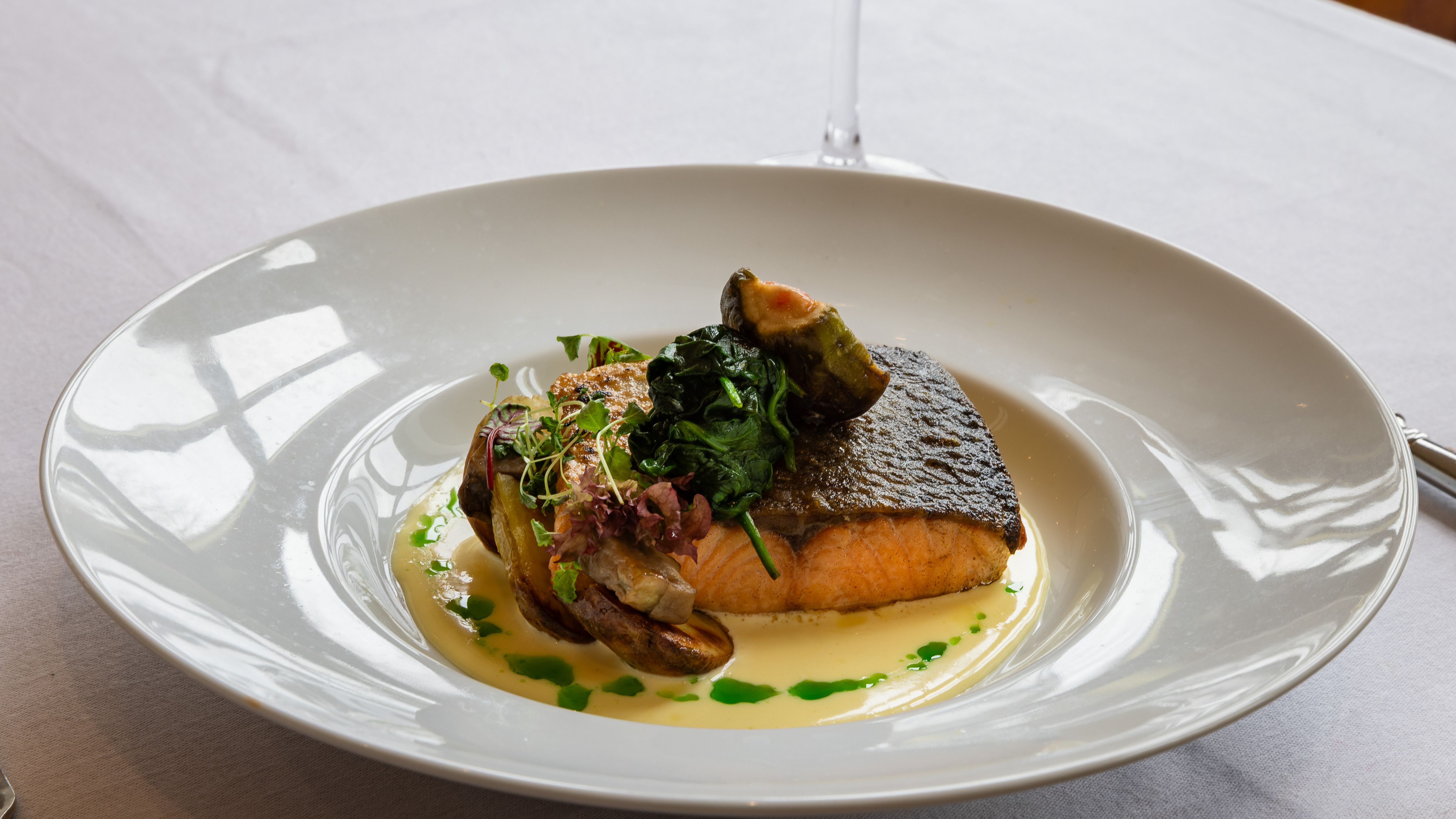 fish served with a creamy sauce