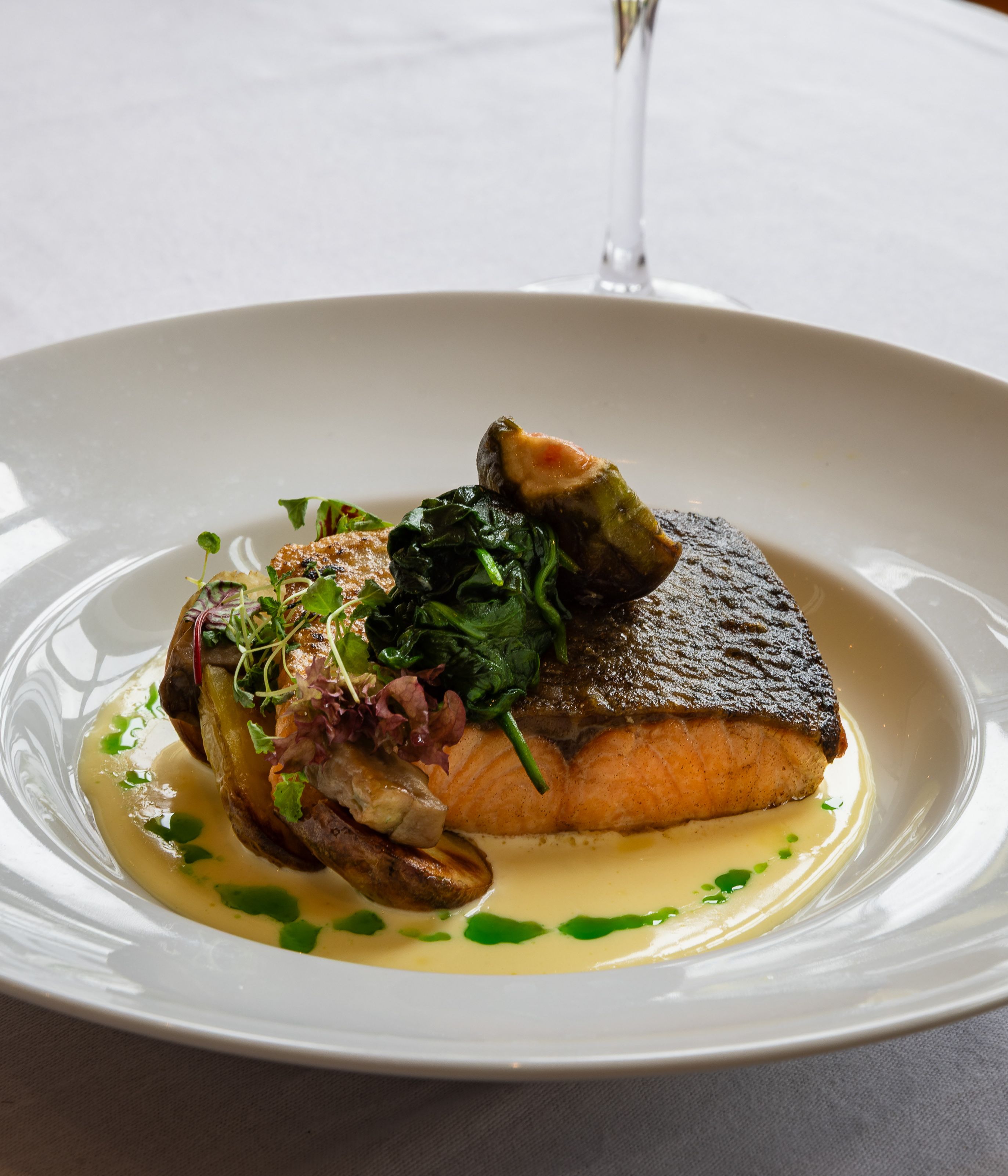 fish served with a creamy sauce