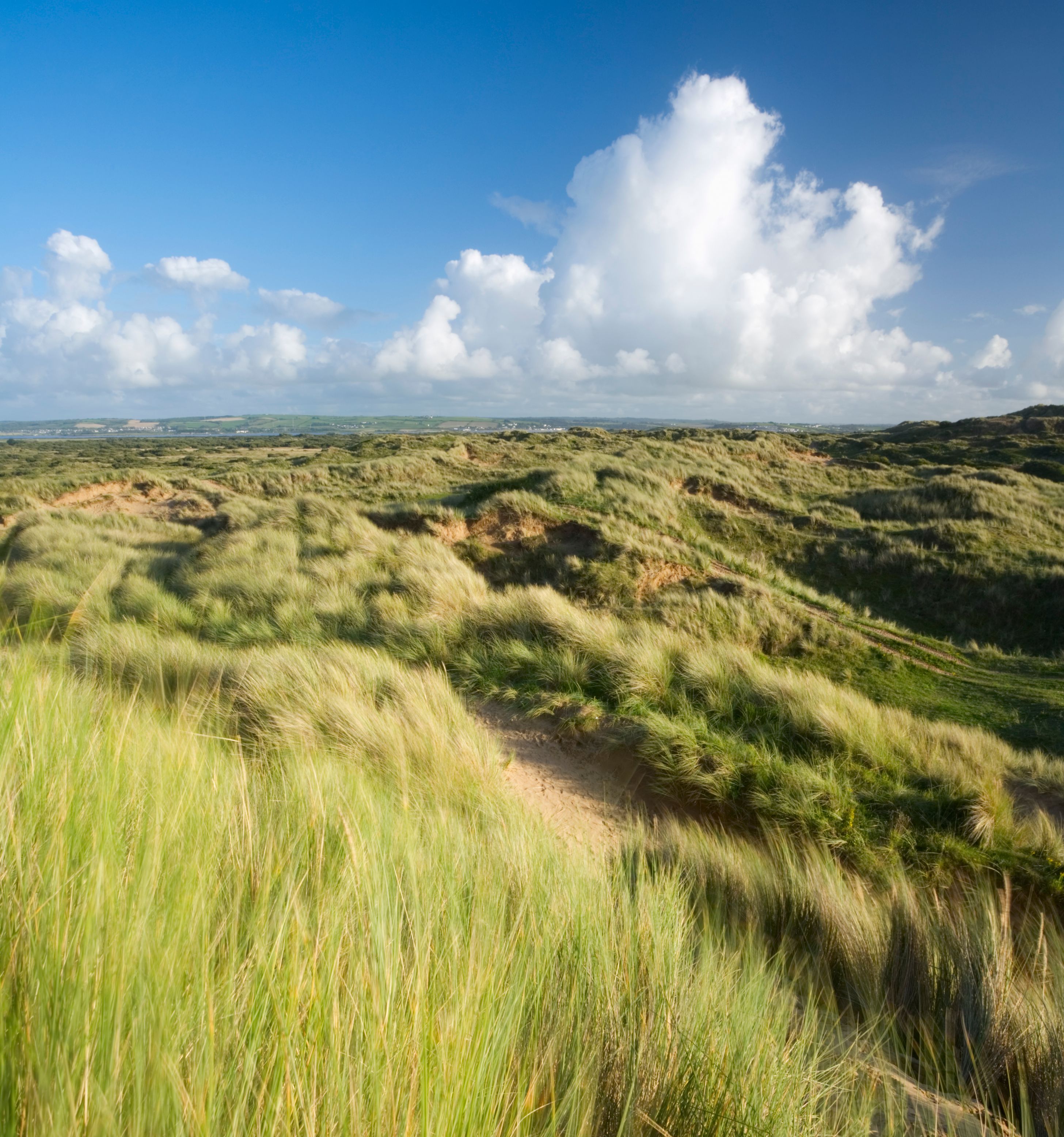 Braunton Burrows