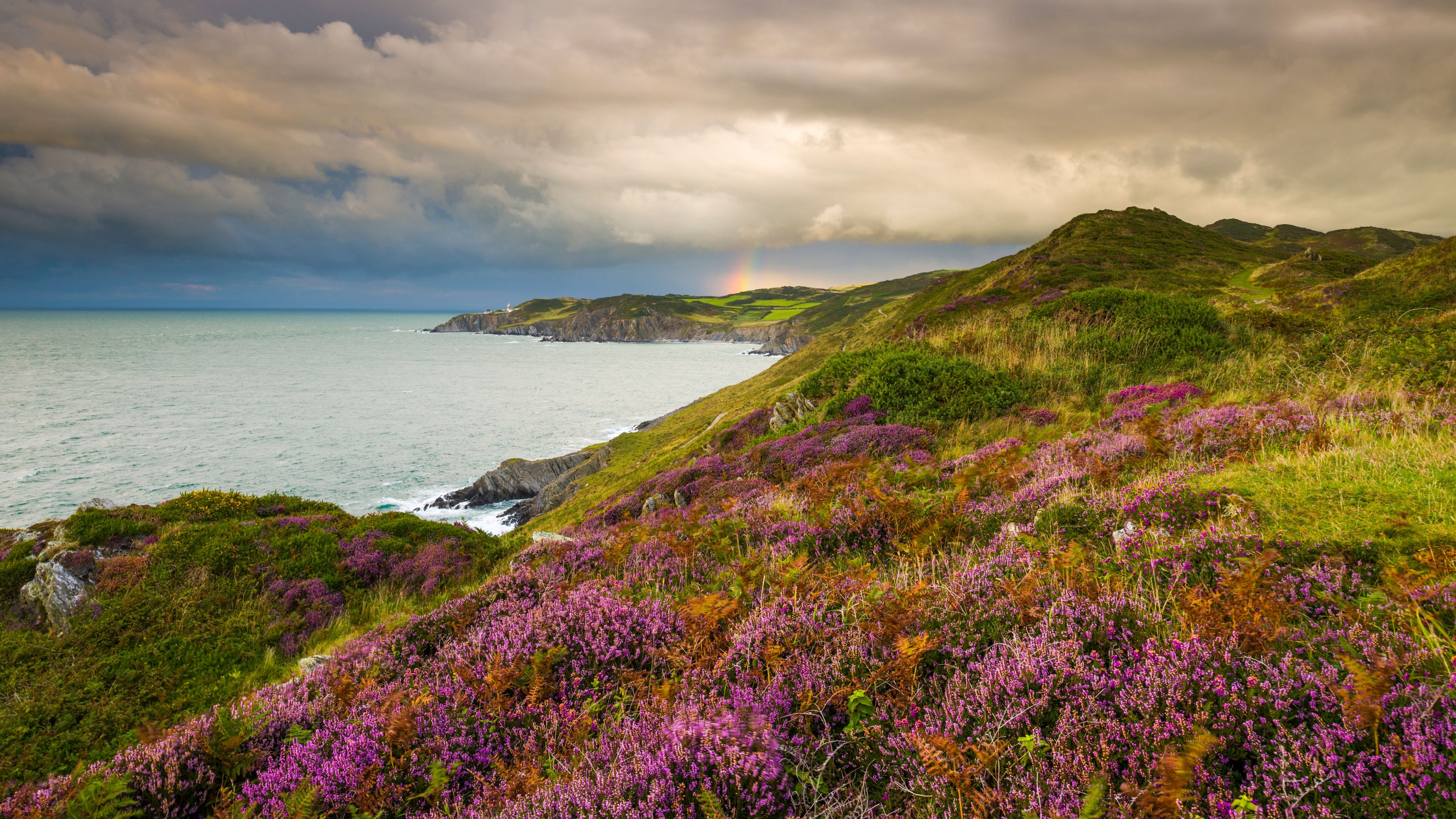 South West Coast Path overlooking the sea and Woolacombe
