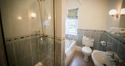 Walk in shower and bath