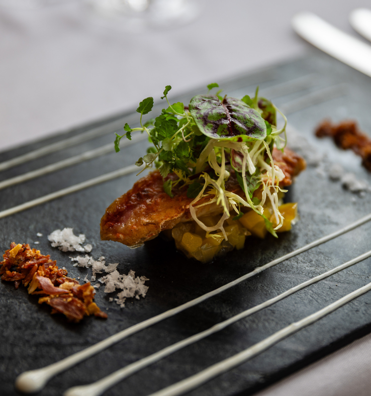 Northcote social (1)