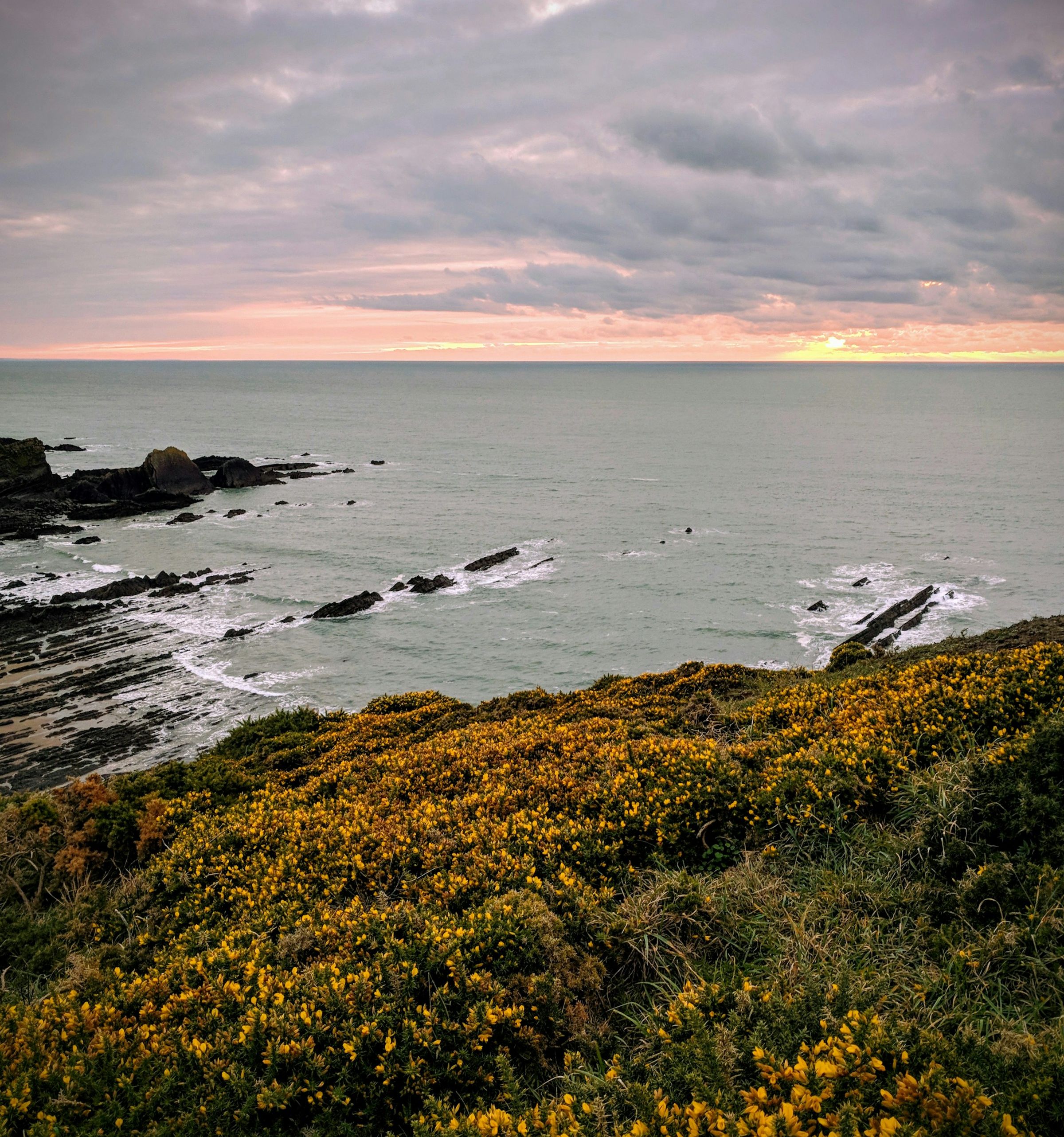 costal view of the sea behind a sunset