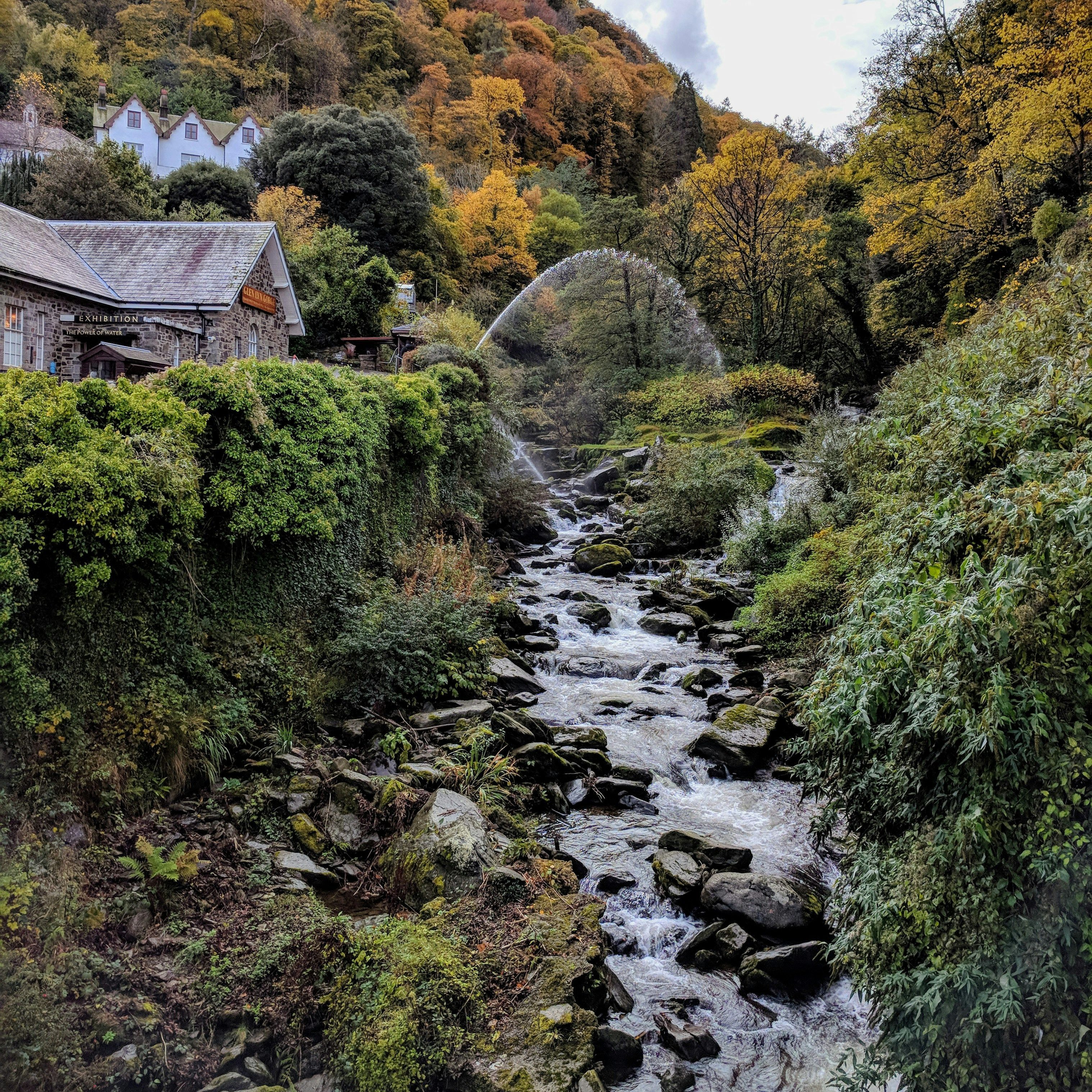 view of a river in the middle of the countryside in autumn