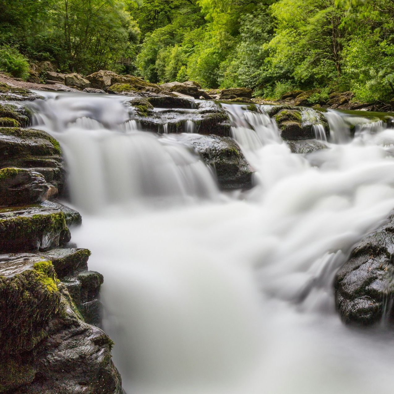 waterfall inbetween greenary
