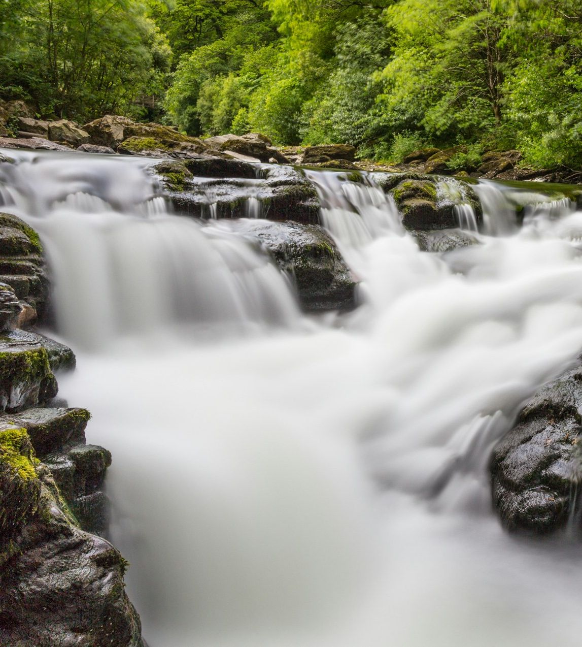 waterfall inbetween greenary