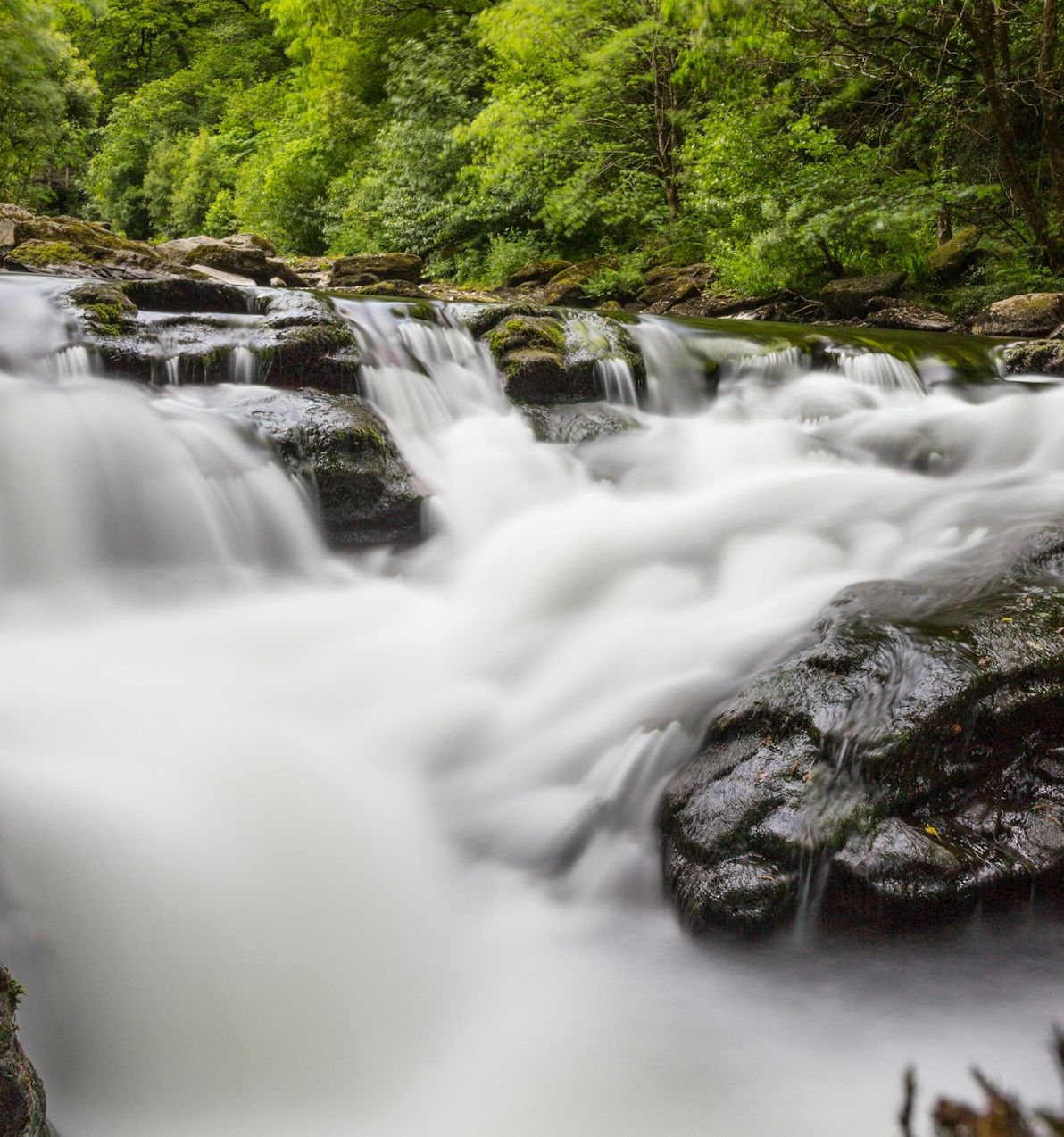 waterfall inbetween greenary