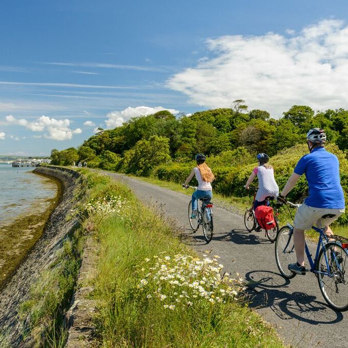 Enjoy car-free cycling along the scenic Tarka Trail, just minutes from Northcote Manor.