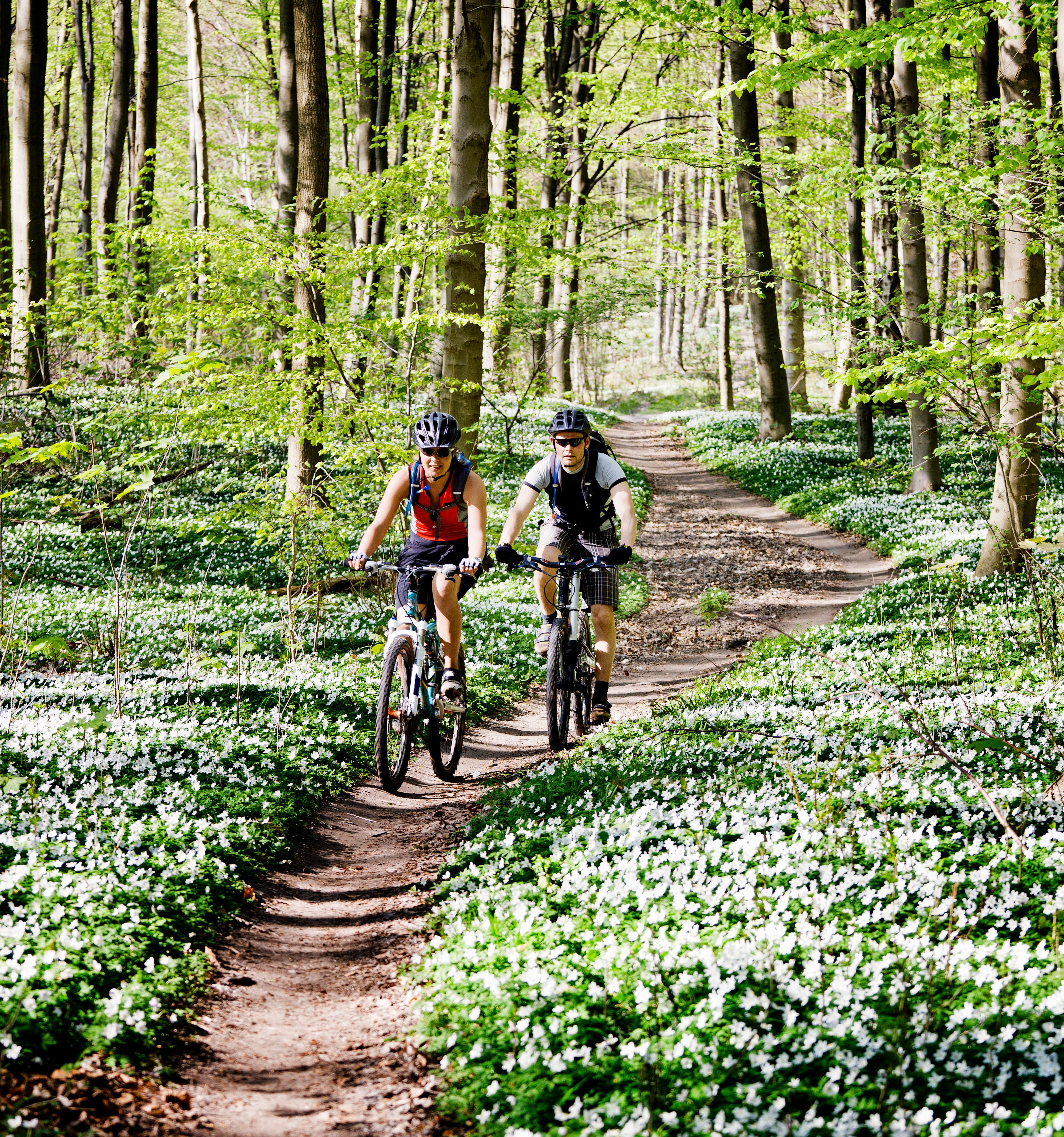 GettyImages-127543747