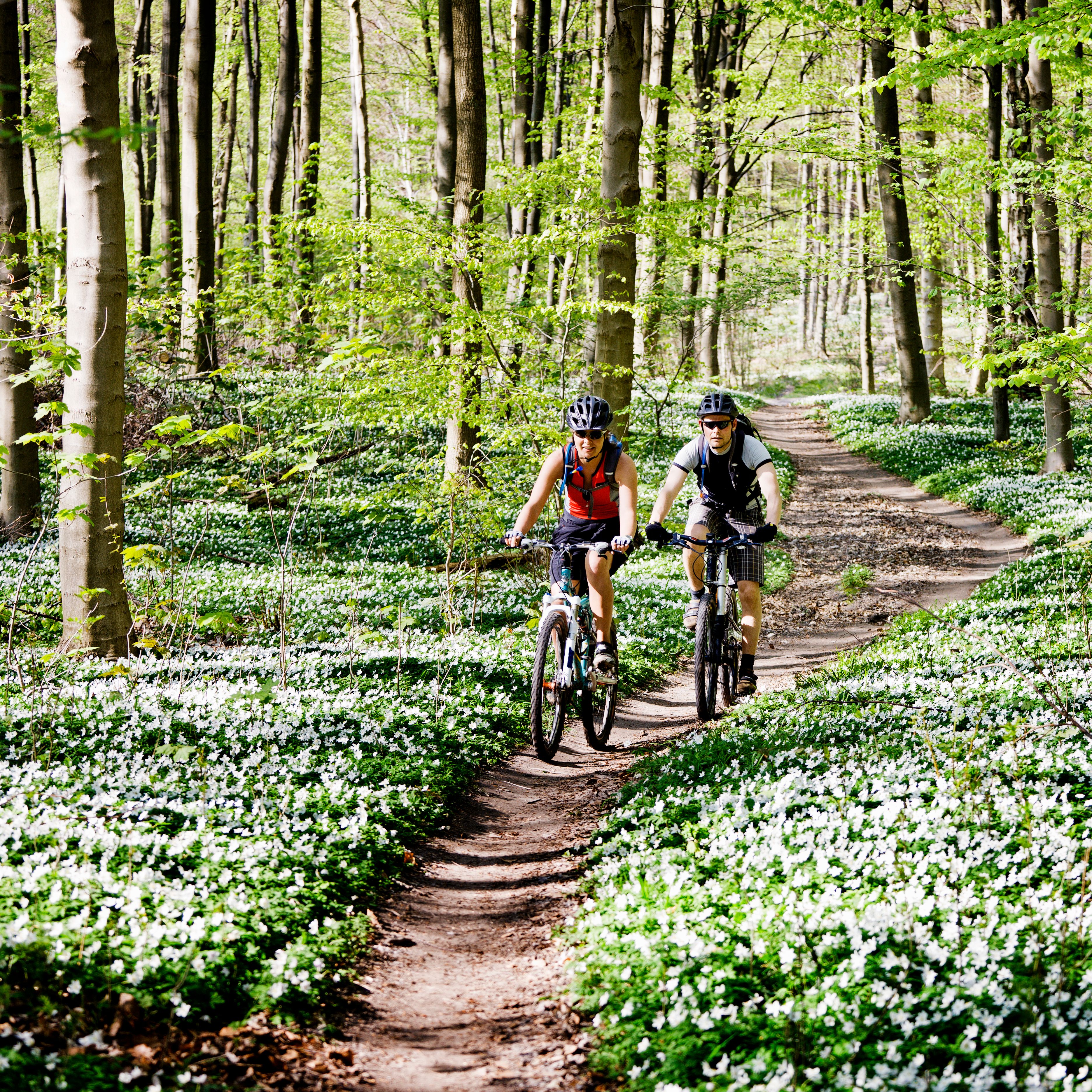 GettyImages-127543747