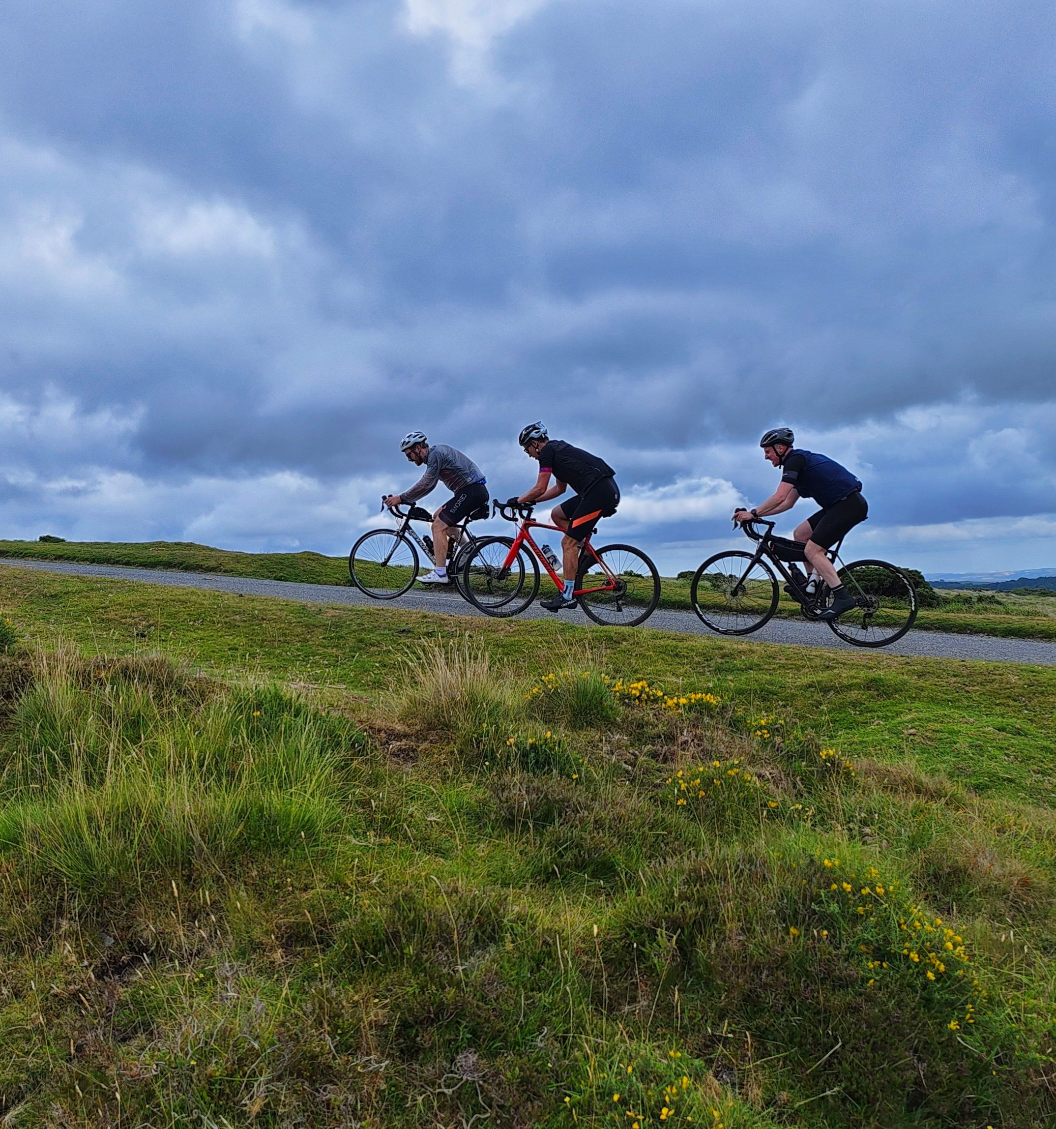 andre-mouton-tSdtRpDOIv8-unsplash