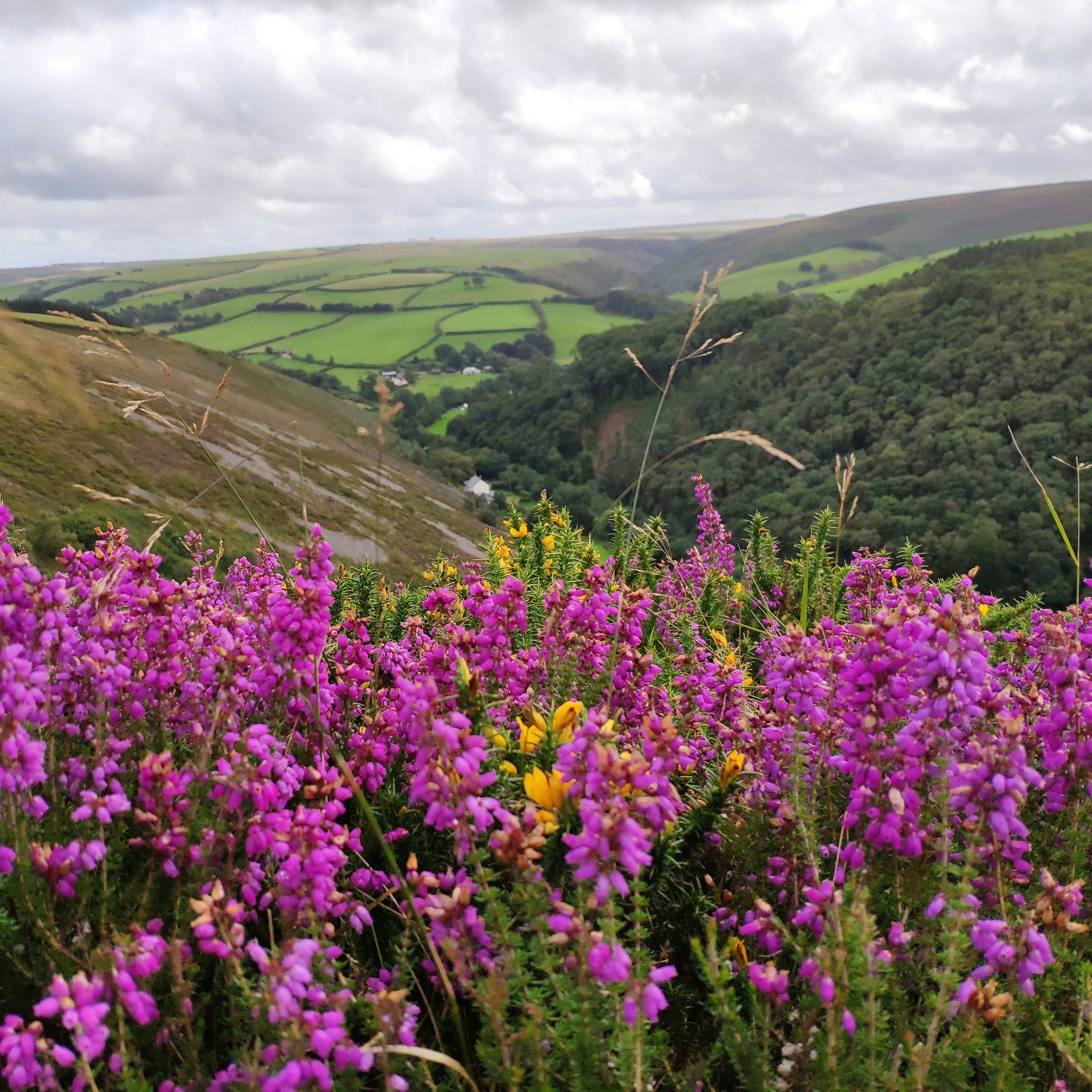 ben-way-D7va5a0qd-4-unsplash