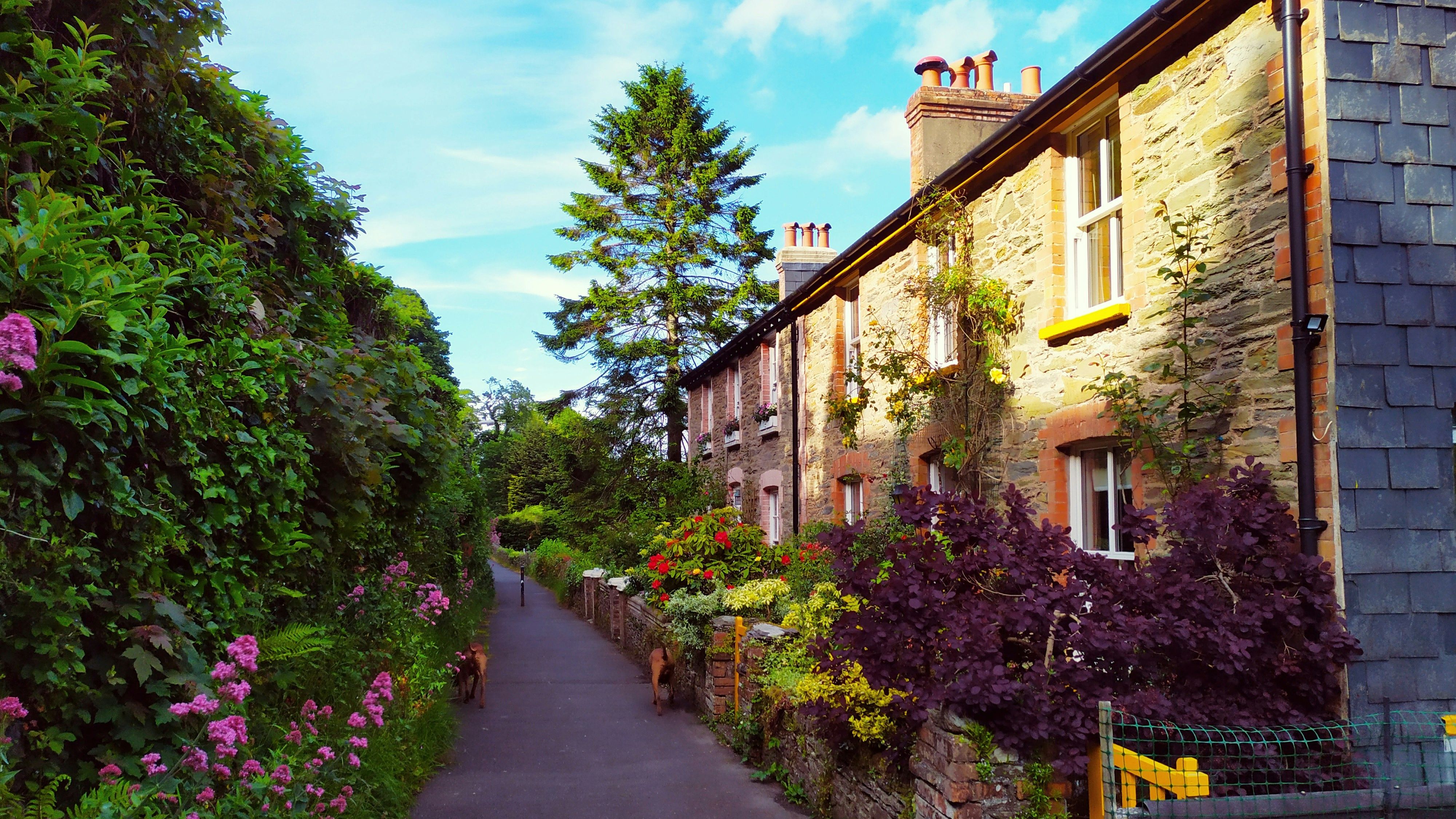 sam-healey-ZvqgPj_5k3c-unsplash