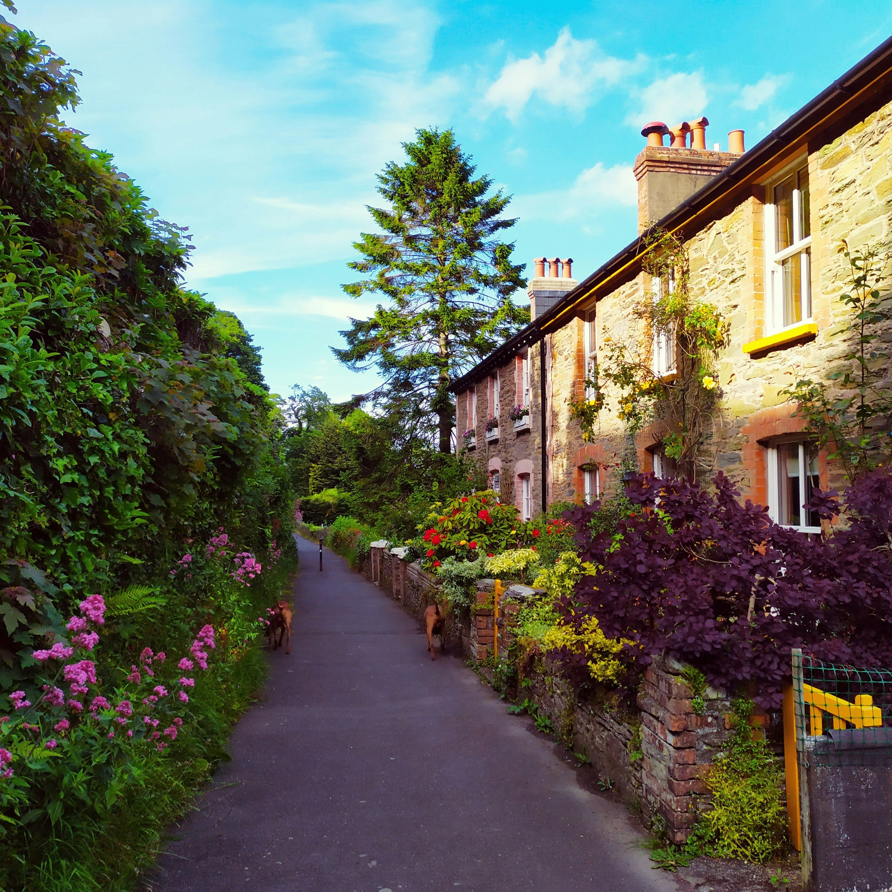 sam-healey-ZvqgPj_5k3c-unsplash