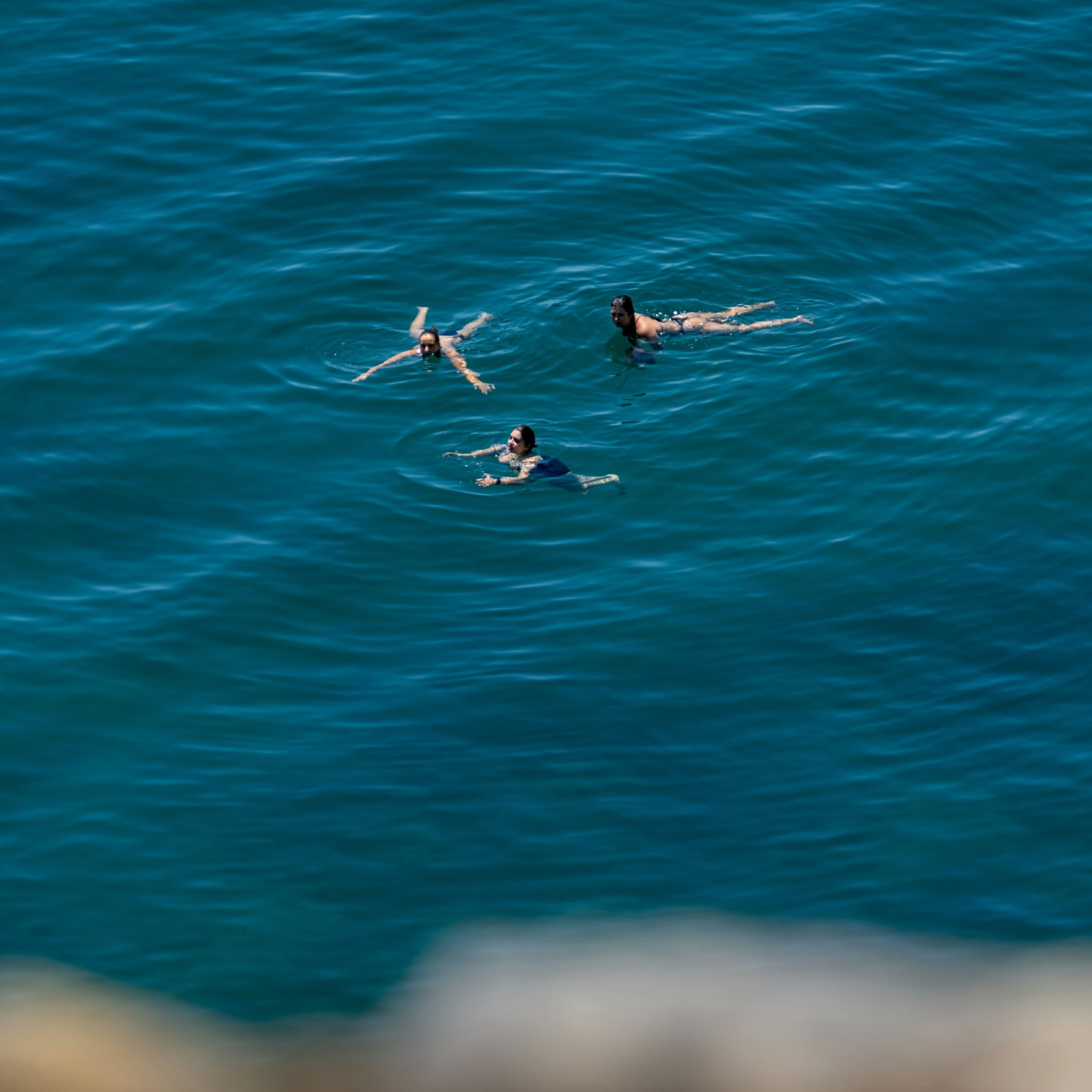 dmitry-limonov-fYwLGtTzHRc-unsplash