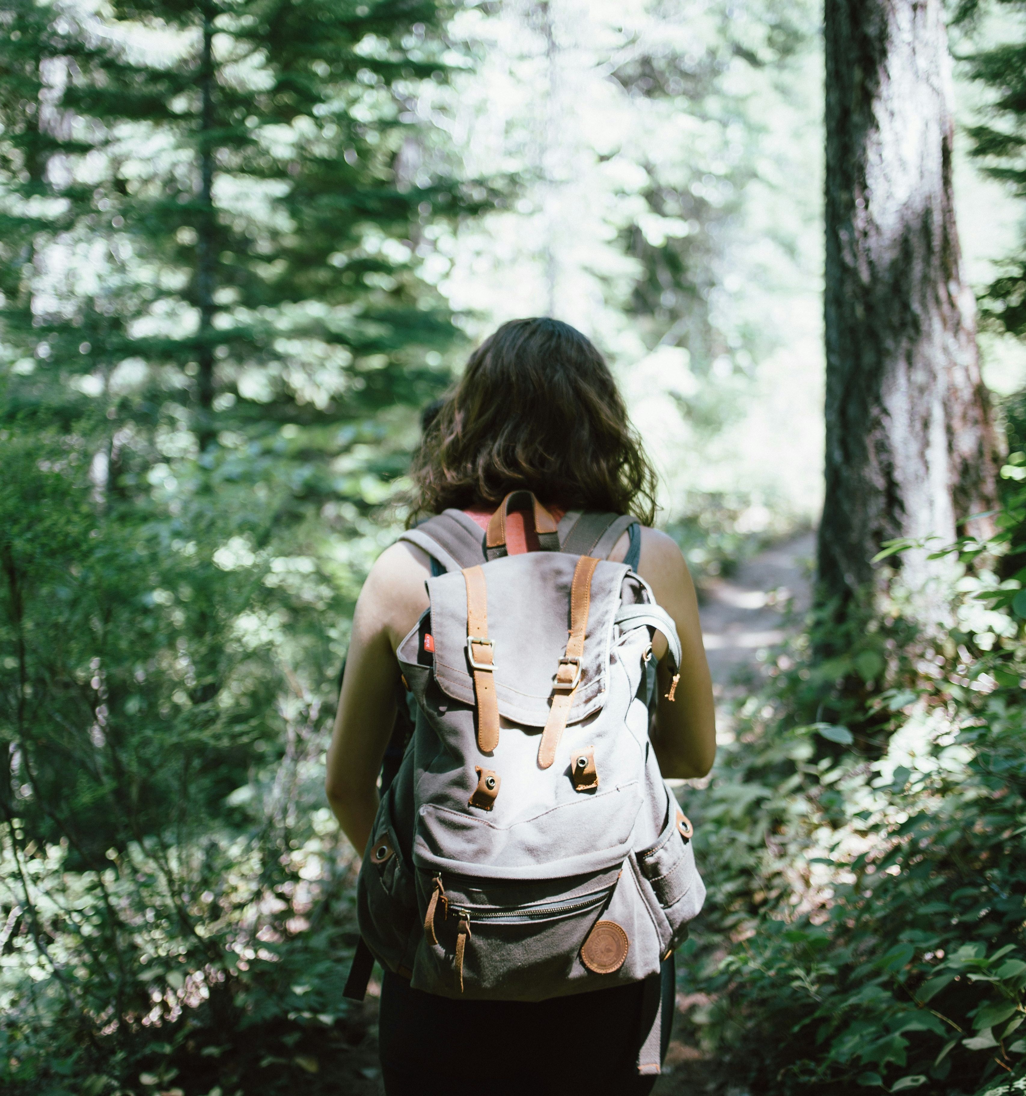 Person with a backpack hiking through a forest