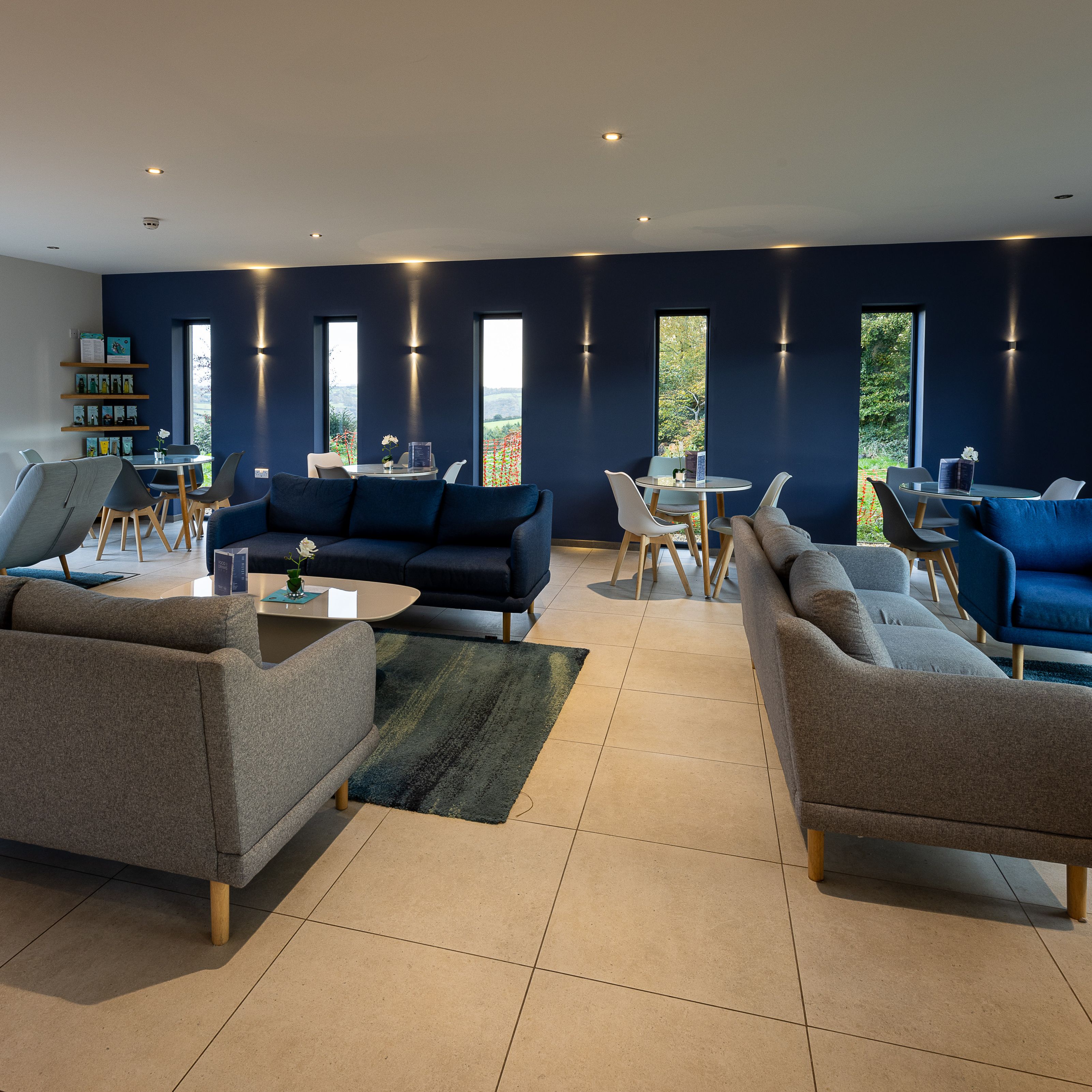 Modern lounge area with sofas, chairs, and tables featuring large windows and a blue accent wall.